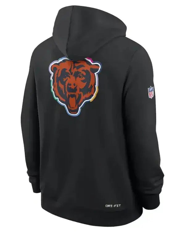 Chicago Bears 2025 Crucial Catch Hoodie WorthVee