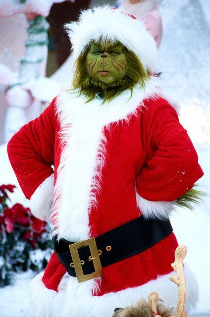 The Mean One Grinch Christmas Costume Coat With Free Cap Clanton Jacket