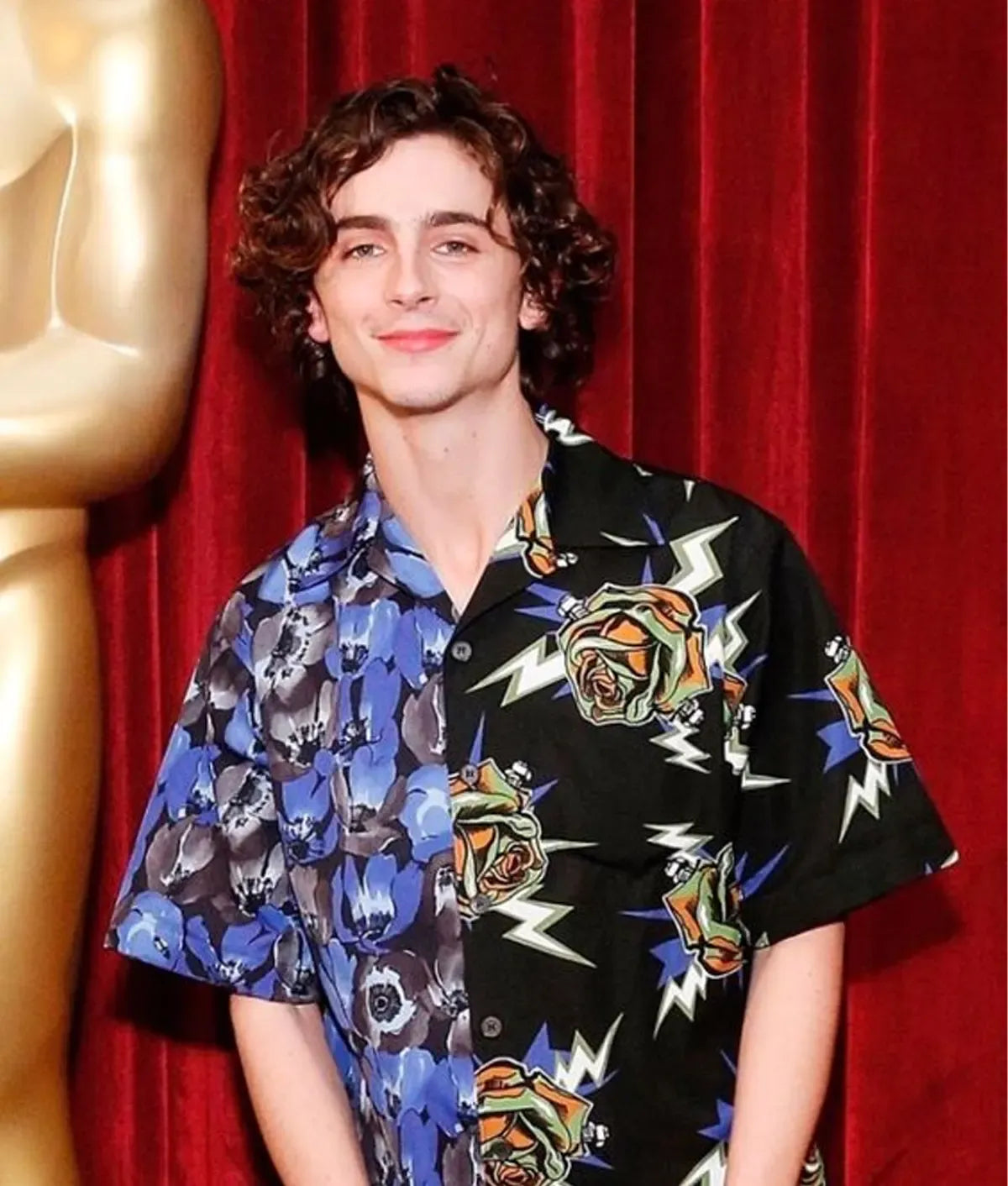 Timothée Chalamet Blue And Black Shirt