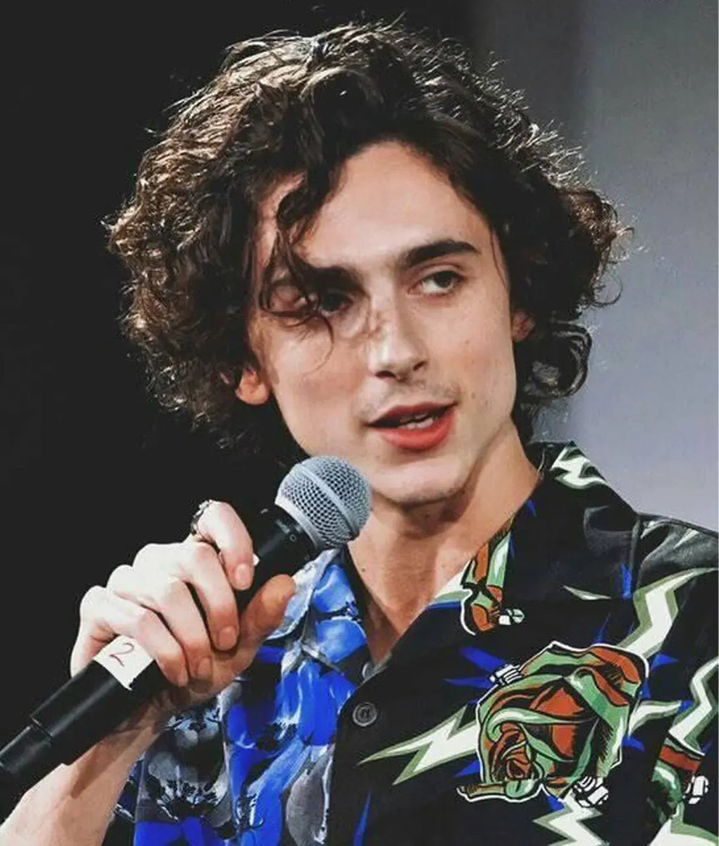 Timothée Chalamet Blue And Black Shirt