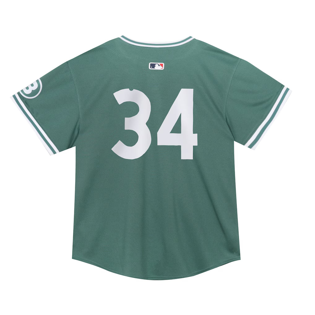 Toddler Boston Red Sox David Ortiz Nike Green 2025 City Connect Limited Retired Player Jersey Kansas Jacket